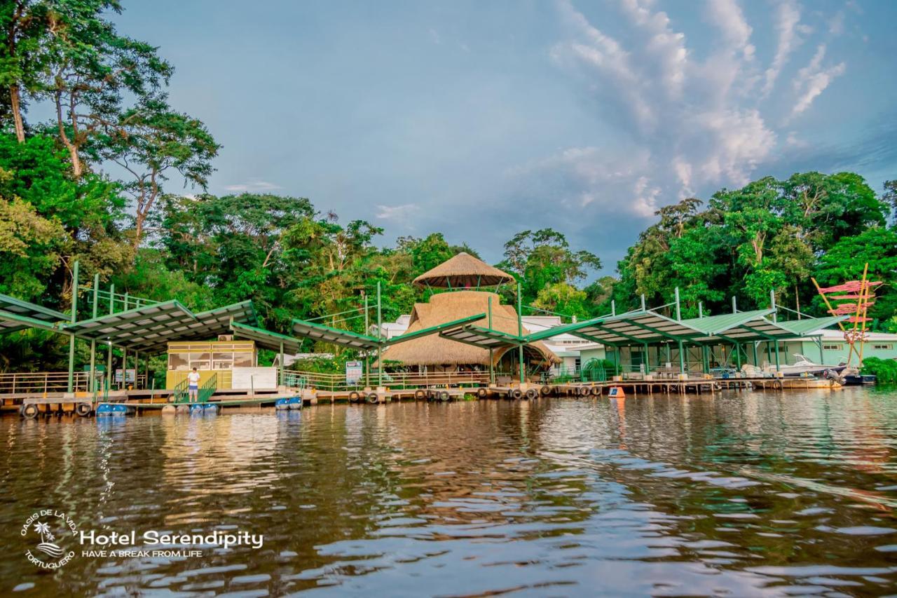 Hotel Serendipity Tortuguero Exterior photo