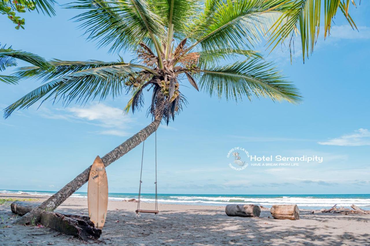 Hotel Serendipity Tortuguero Exterior photo