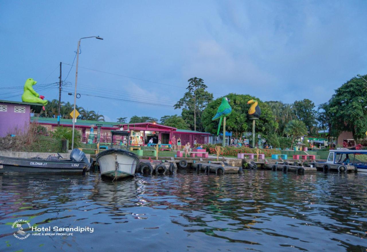 Hotel Serendipity Tortuguero Exterior photo