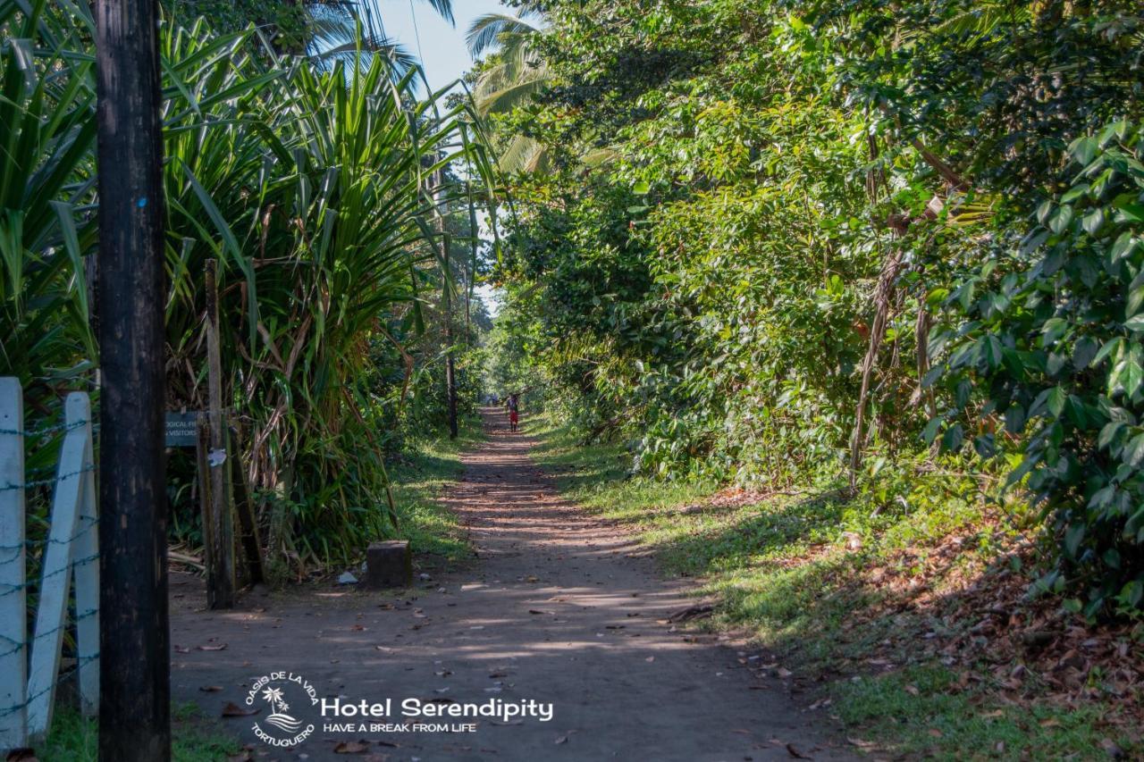 Hotel Serendipity Tortuguero Exterior photo