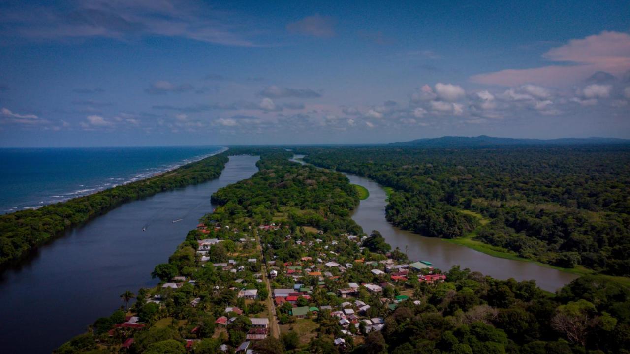 Hotel Serendipity Tortuguero Exterior photo