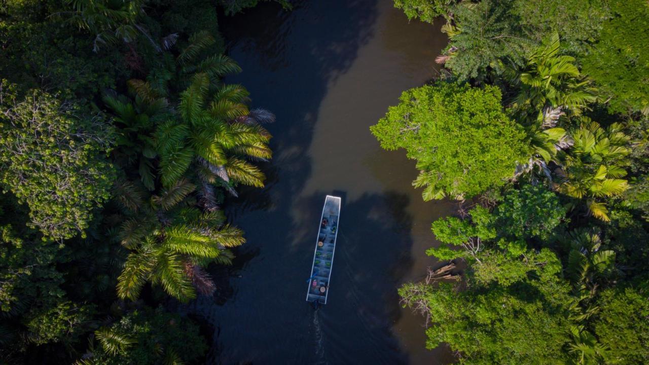 Hotel Serendipity Tortuguero Exterior photo