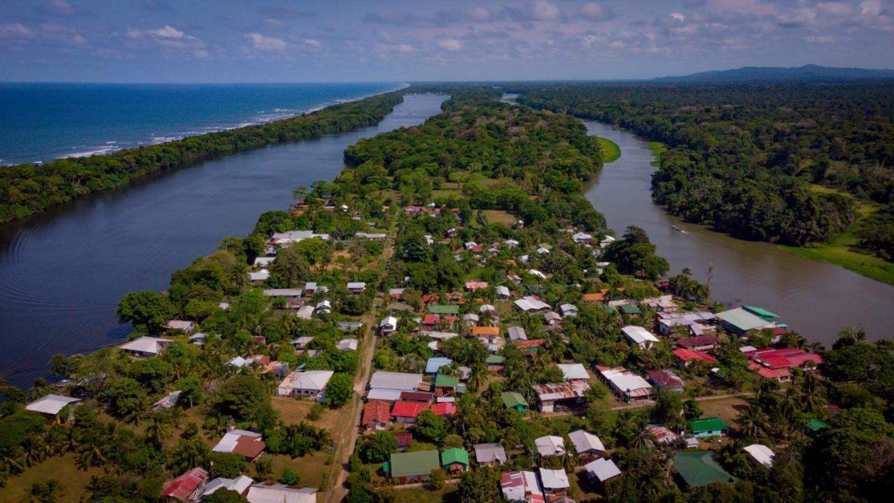 Hotel Serendipity Tortuguero Exterior photo