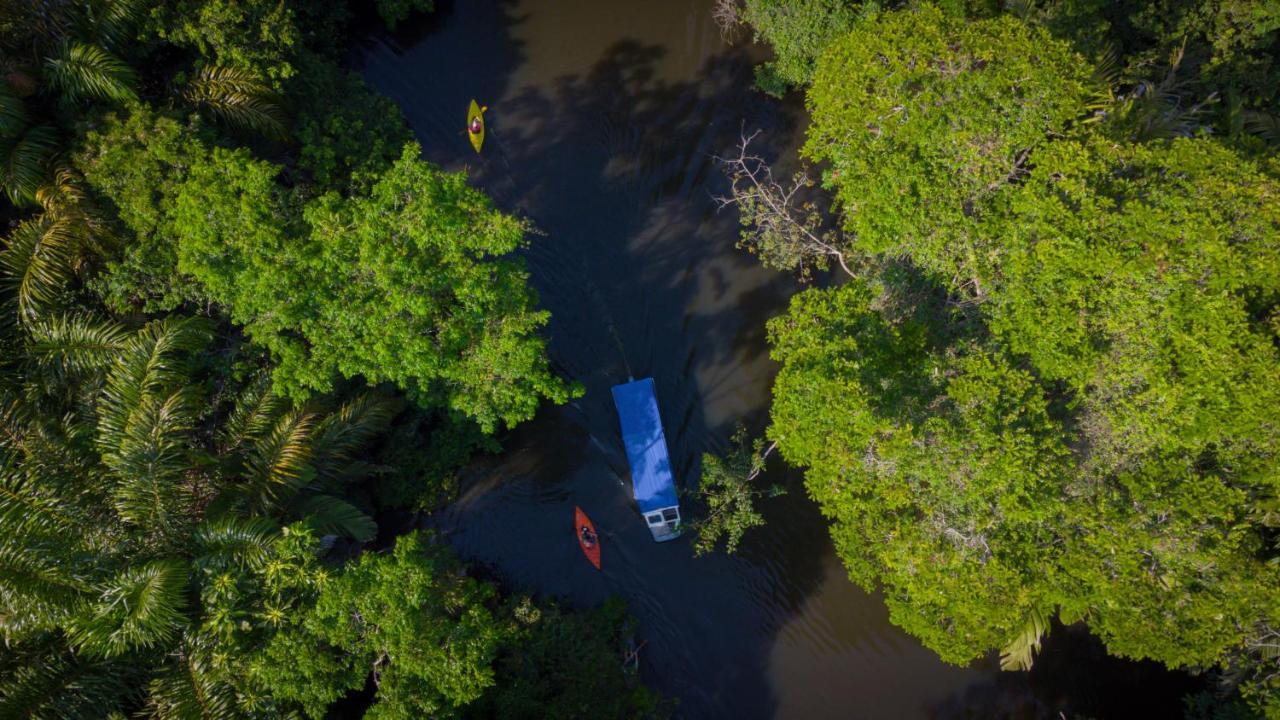 Hotel Serendipity Tortuguero Exterior photo