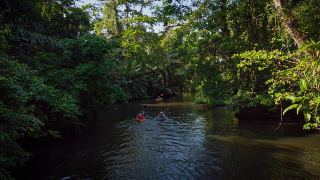 Hotel Serendipity Tortuguero Exterior photo